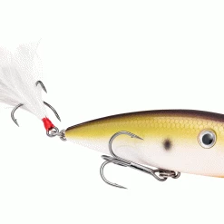 Outdoorsmen Pro Shop Strike King HC KVD Splash Popper Lures & Bait