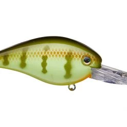 Outdoorsmen Pro Shop Lures & Bait Strike King KVD 1.5 Deep Diver Squarebill Crankbaits
