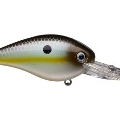 Outdoorsmen Pro Shop Lures & Bait Strike King KVD 1.5 Deep Diver Squarebill Crankbaits
