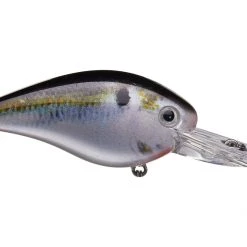 Outdoorsmen Pro Shop Lures & Bait Strike King KVD 1.5 Deep Diver Squarebill Crankbaits