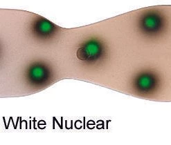 Outdoorsmen Pro Shop Dreamweaver Lures Spin Doctor Flasher