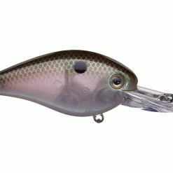 Outdoorsmen Pro Shop Lures & Bait Strike King KVD 1.5 Deep Diver Squarebill Crankbaits
