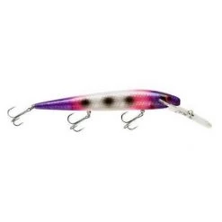 Outdoorsmen Pro Shop Smithwick Suspending Top 20 Rogue Crankbait
