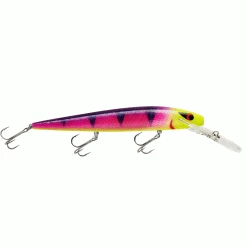 Outdoorsmen Pro Shop Smithwick Suspending Top 20 Rogue Crankbait