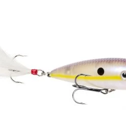 Outdoorsmen Pro Shop Strike King HC KVD Splash Popper Lures & Bait