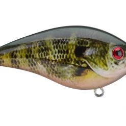 Outdoorsmen Pro Shop Lures & Bait Strike King 1.5 Square Bill Crankbait