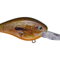 Outdoorsmen Pro Shop Lures & Bait Strike King KVD 1.5 Deep Diver Squarebill Crankbaits